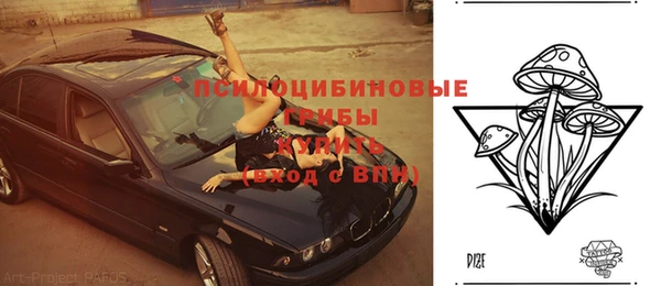 прущий лед Осташков